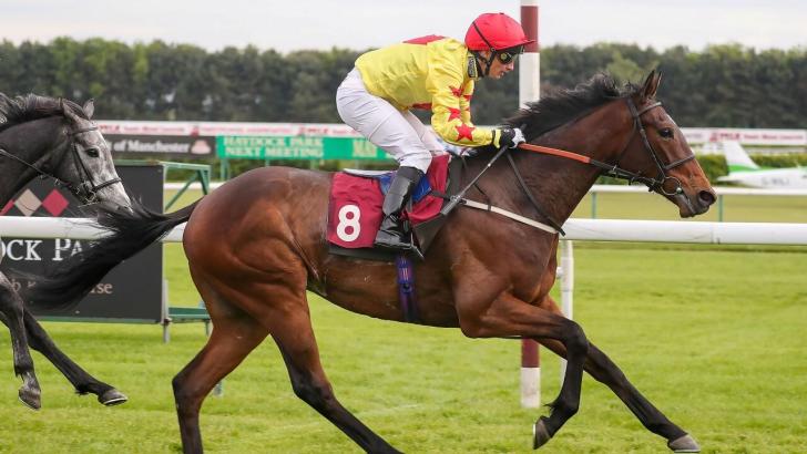 Highwaygrey Haydock 